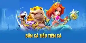 Có thể tải và cài đặt game bắn cá tiểu tiên trên các hệ điều hành khác nhau