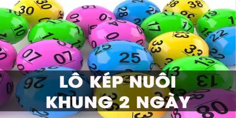 Nuôi lô kép khung 2 ngày giúp tối ưu hóa lợi nhuận và giảm thiểu rủi ro